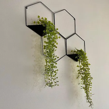 Apartament Delight *