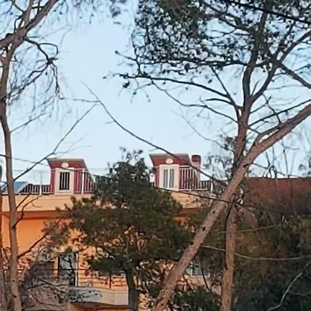 Delight Golem (Tirana)