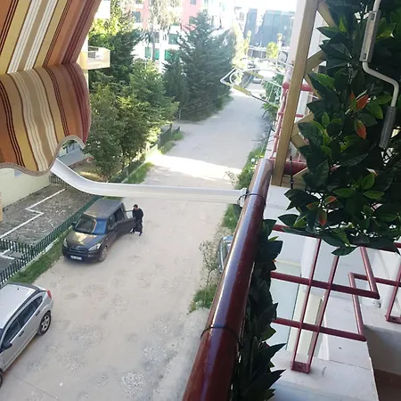 Delight Golem (Tirana)